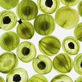 Boundless Solid Oil
